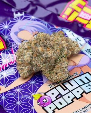 Buy Plum Popperz
